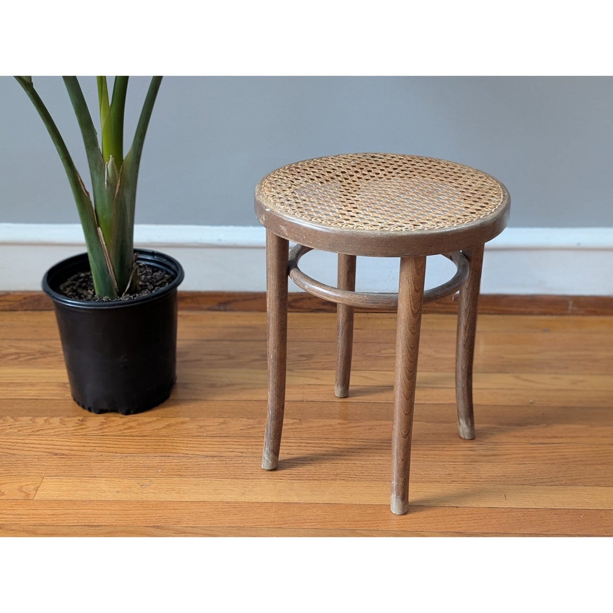 Vintage Bauhaus Mid-Century Modern Bentwood and Cane Stool