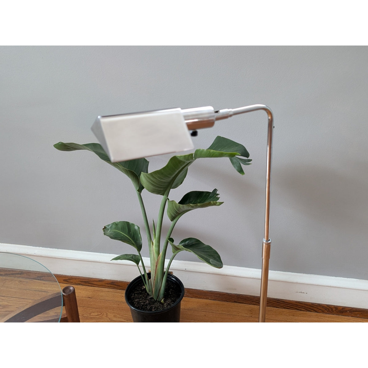 Vintage Koch & Lowy Adjustable Chrome Floor Lamp – Collectible Mid-Century Modern Design — additional view 2