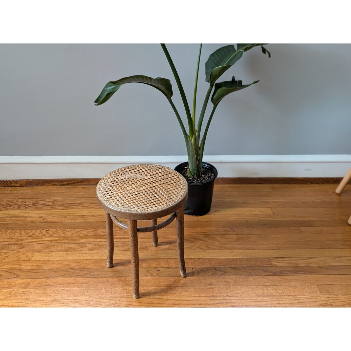 Vintage Bauhaus Mid-Century Modern Bentwood and Cane Stool — additional view 3